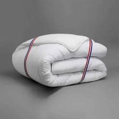 Couette anti punaises de lit et antibactérien - 300g/m2