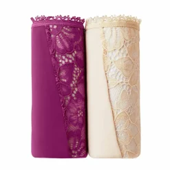 Culotte microfibre et dentelle stretch forme tanga taille haute - lot de 2