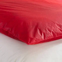 Édredon naturel duvet et plumettes qualité prestige