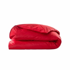 Edredon naturel duvet et plumettes