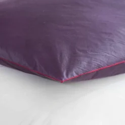 Edredon naturel duvet et plumettes
