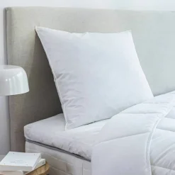 Oreiller plumes en lot de 2