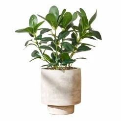 Plante artificielle en pot