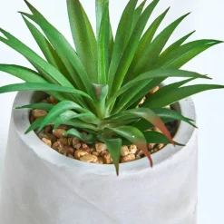 Plante artificielle et pot en ciment