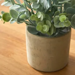 Plante artificielle et pot en ciment