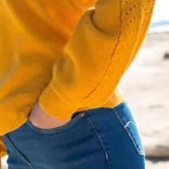 Pull col rond finitions écailles